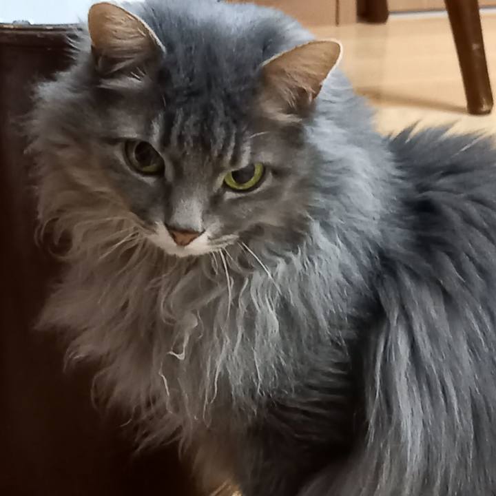 0fd70572 2d20 4ded 9e29 0d0271382c39 1619903711707