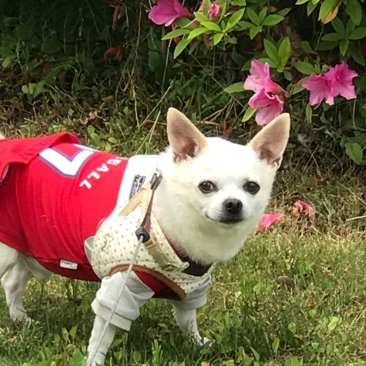 0fd70714 fd46 433b 8f47 4e695545d59f 1559743062949