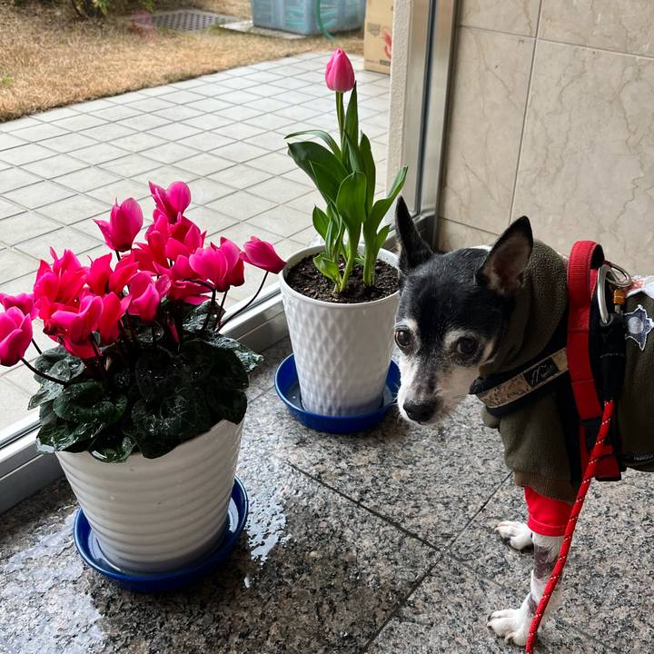 0fd798ea 8c88 44a7 aa85 1d2bd845aa37 1643428805927