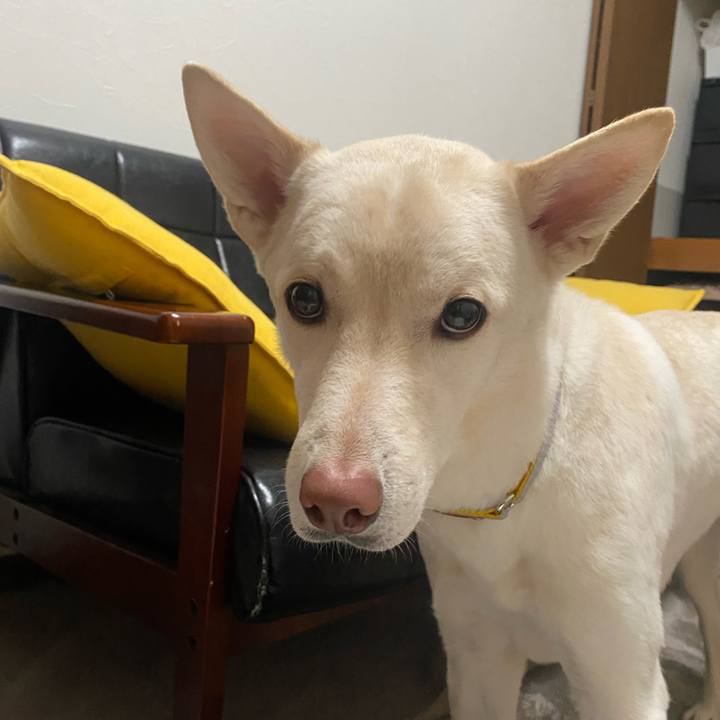 0fd81600 a48e 4384 8fd9 1293f765bfbc 1772588958900