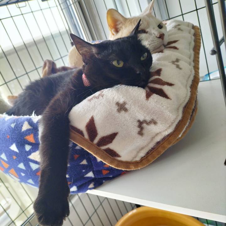 0fd8301f dfc8 41bf b167 88cb1475199e 1713570531198