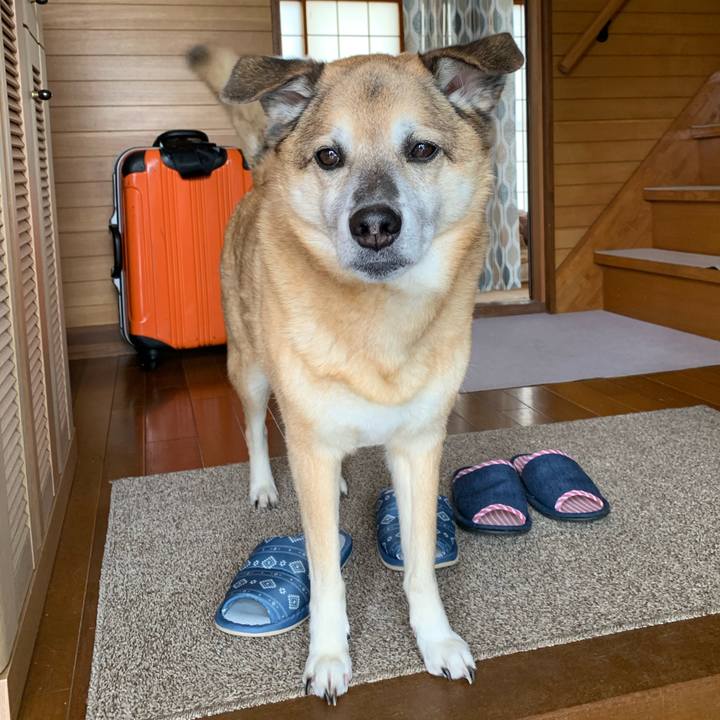 0fd854d6 44b8 4027 aa56 463beb3403bb 1641007044827