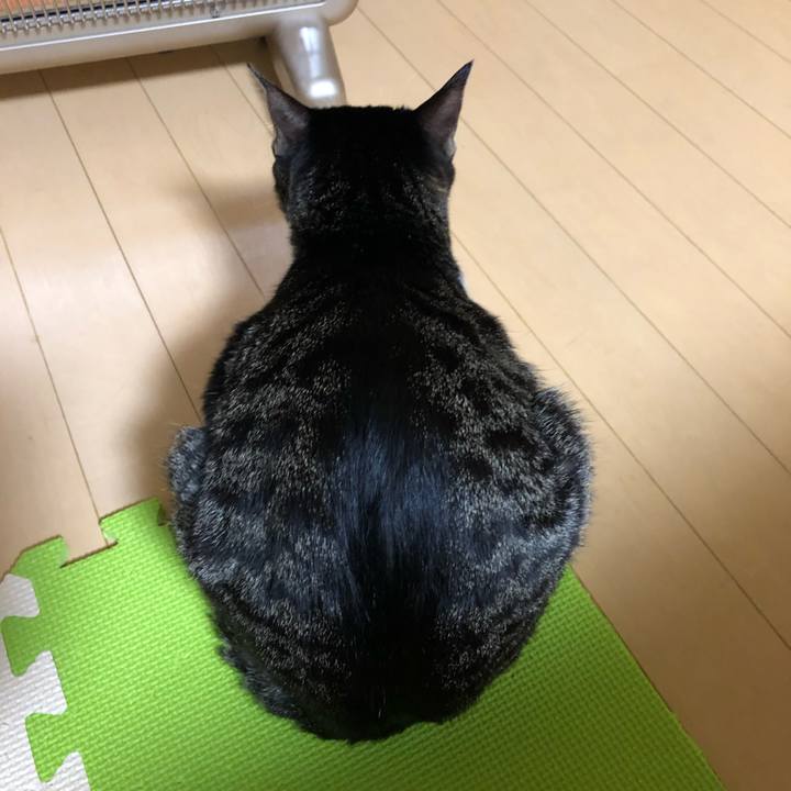 0fd8676e 92f2 4c82 a0cf 90c6fc586757 1547928121088