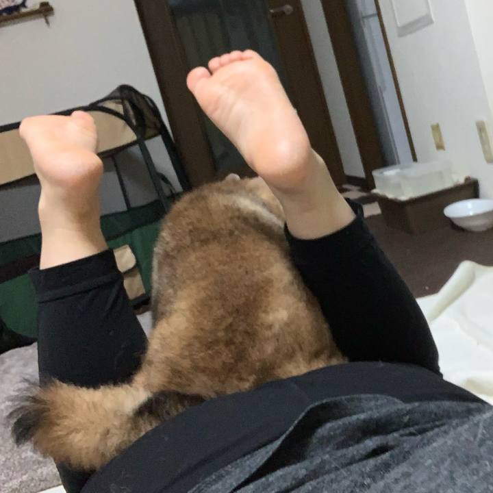 0fd86ea5 a789 462d a6d2 7526a5cc0369 1691073786602