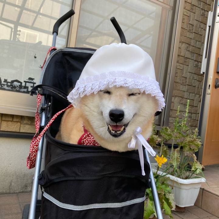 0fd89087 f63b 45f0 9cc3 141f34ec4185 1623673158267