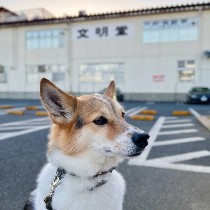 0fd8c368 0dd7 4426 9608 f266a4400e95 1768634773627