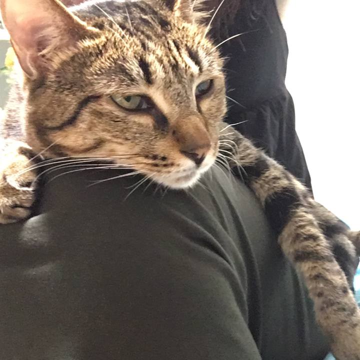 0fd8d475 2297 45e0 9691 9d7eee53c528 1532601228339