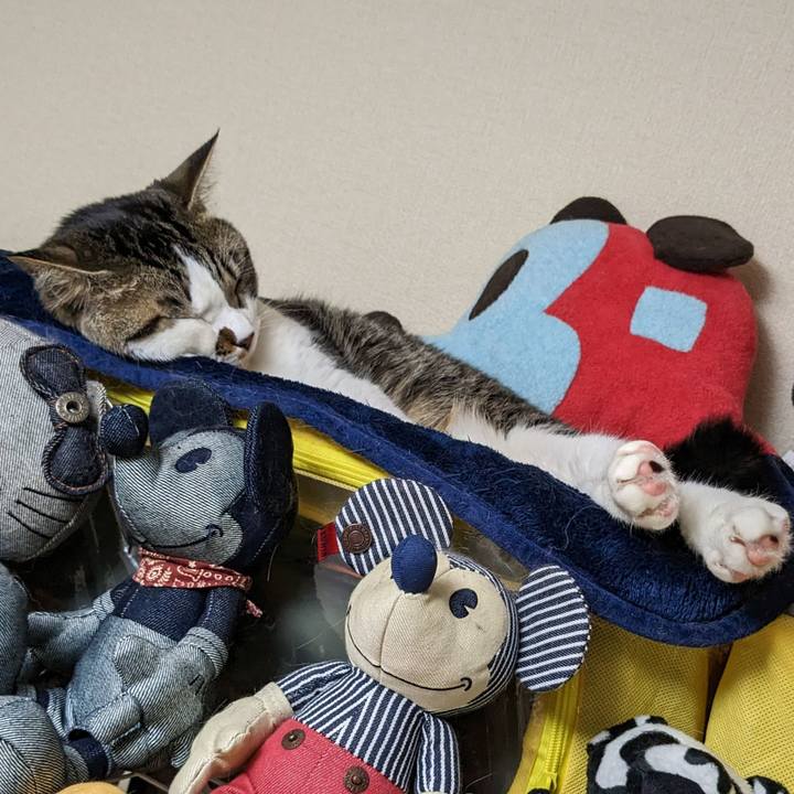 0fd8f2dd 6228 43b5 afd0 45572f1ed53c 1685684531947