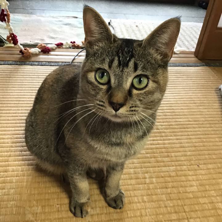 0fd91ebd d6aa 4ab7 8edc 531343454be3 1580188406081