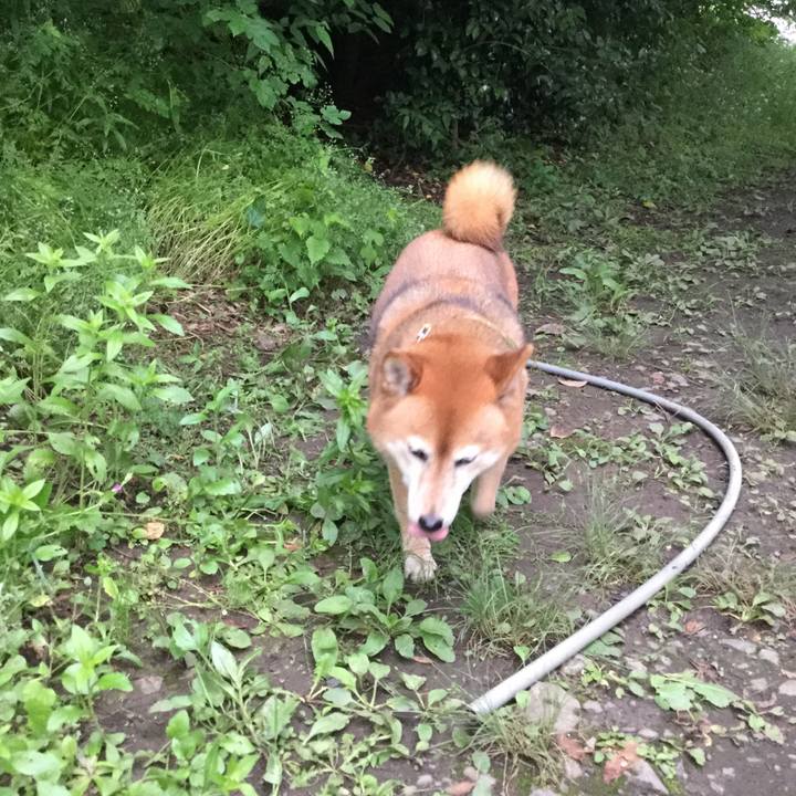 0fd94e45 8e8f 46da 98f6 e6867ed2cc7d 1590048947630