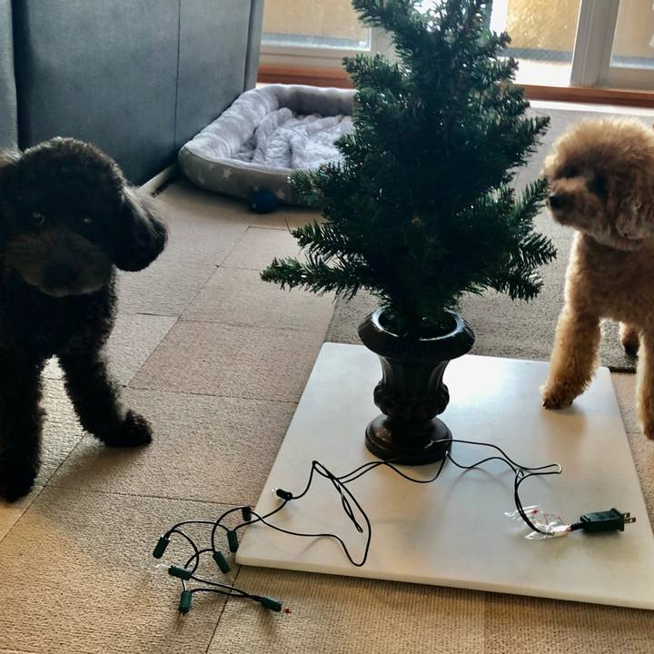 0fd956b7 3a06 482d b6ef f8583617b888 1606644611142