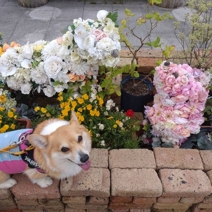 0fd95816 39c6 479a 9d7e 9e0180c24db6 1654952193484