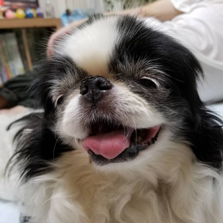 0fd96f7d f0ca 4c39 aedb 7af59c0e27d6 1529581601380