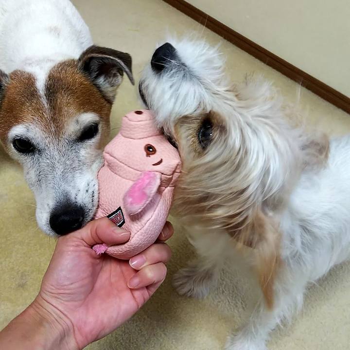 0fd97f9f 5637 4375 83fa 1f699152b3e4 1534146527150