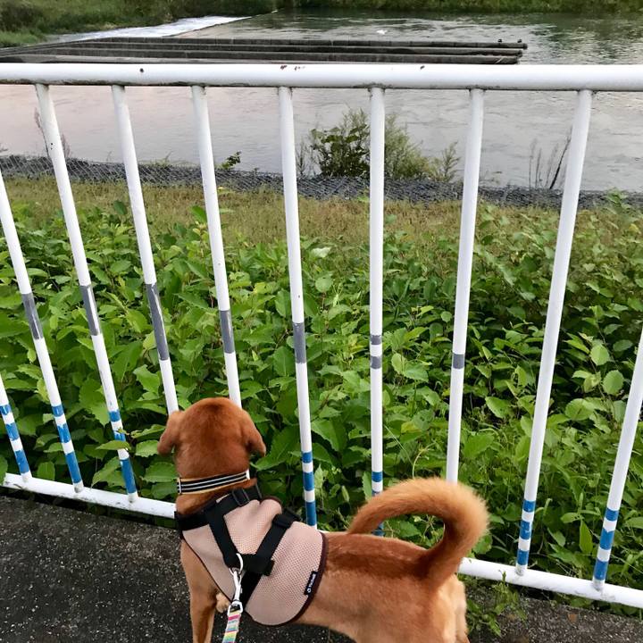 0fd985d6 f3d1 4507 accc 0b396621735d 1538133363124