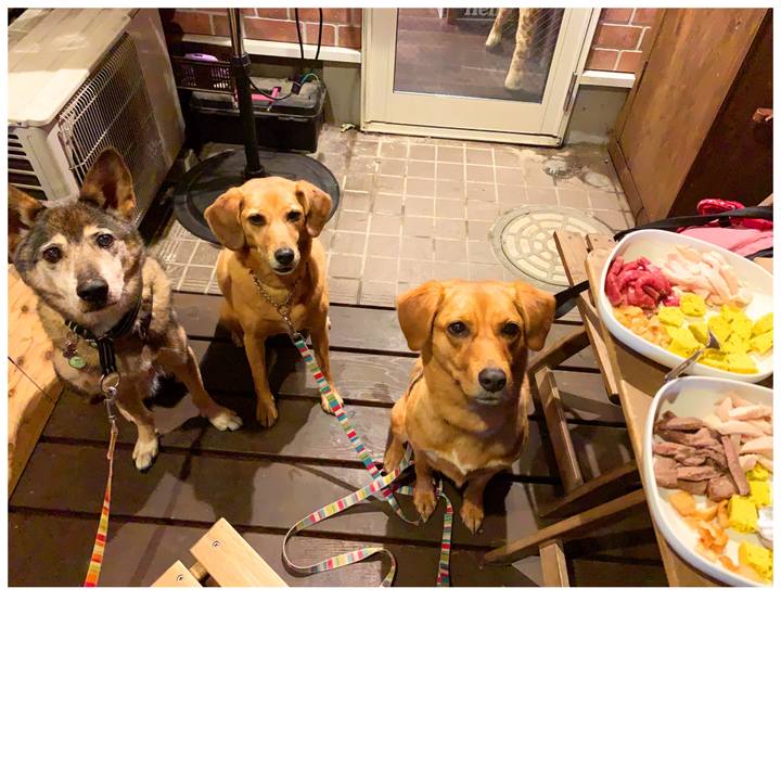 0fd99082 1ba0 4754 9169 176d5e3f7bcb 1571479989020