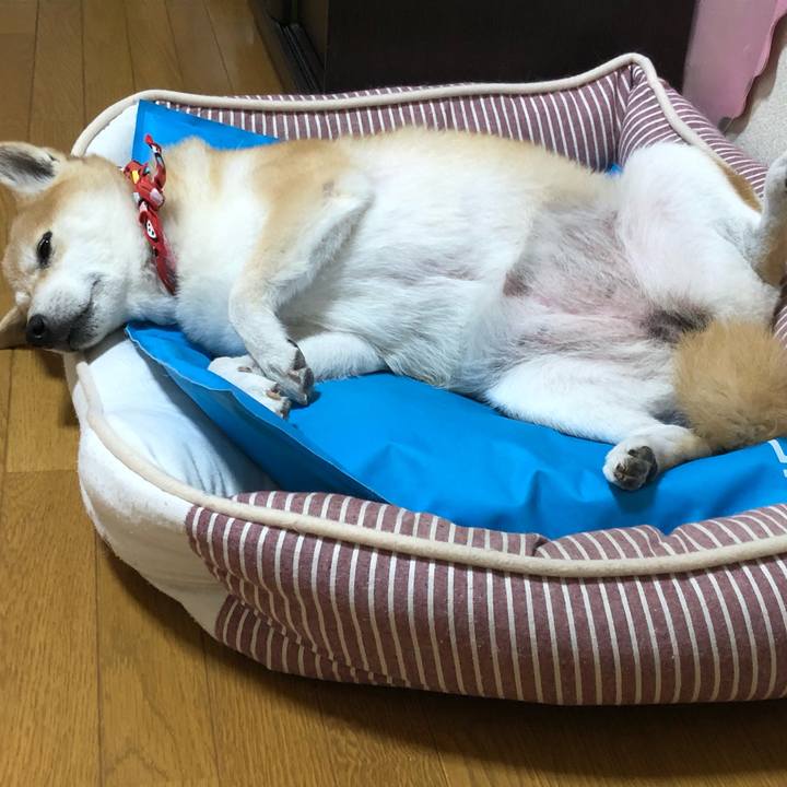 0fd9fb2b f4cf 4588 be41 71bd03bb3ccc 1600659755248