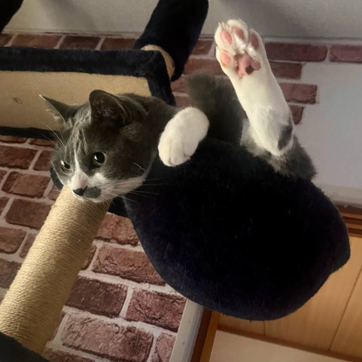 0fda3a20 7651 4874 bfb7 27ff46b7df26 1687990080289