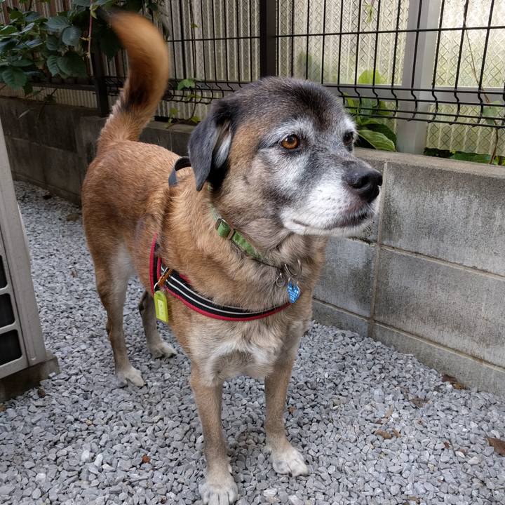 0fda4b19 eec8 4f02 8b56 96a822e977ac 1539819708804