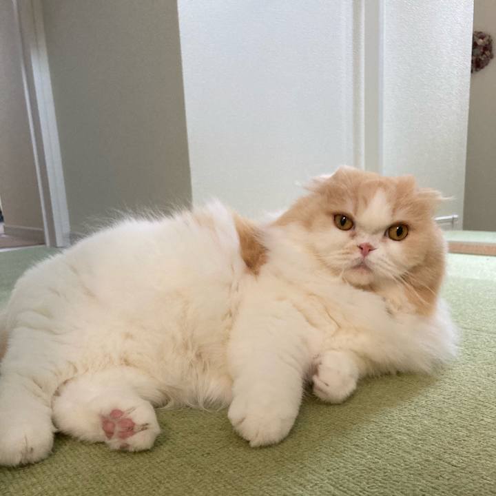 0fda4dd5 b56b 4244 9d1a 6a84374fac5f 1654594872917