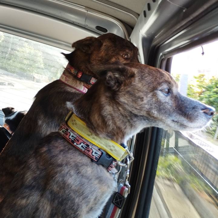 0fda7a59 b364 4e55 b9bd 4ab6f484ace8 1726481424268