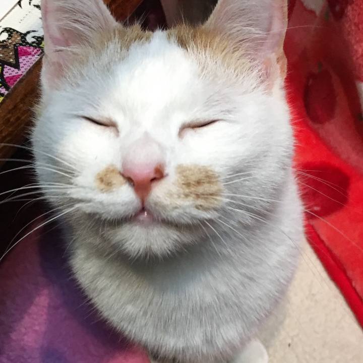 0fdb4625 528d 49e4 a309 c927ea181529 1514980067097