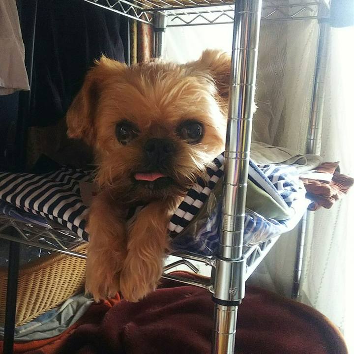 0fdb534f c111 4b06 b656 1f5d0002e1b2 1596453274485