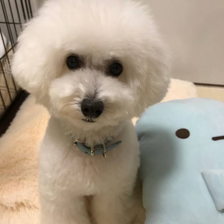 0fdb881f 50d1 48cb 8c79 6862cf1d93f3 1541749709113