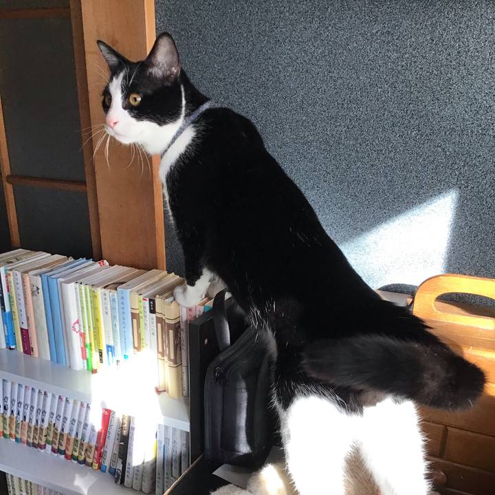 0fdb9a14 bbae 4e0c a58c b0d9e2eda4cf 1636342548716