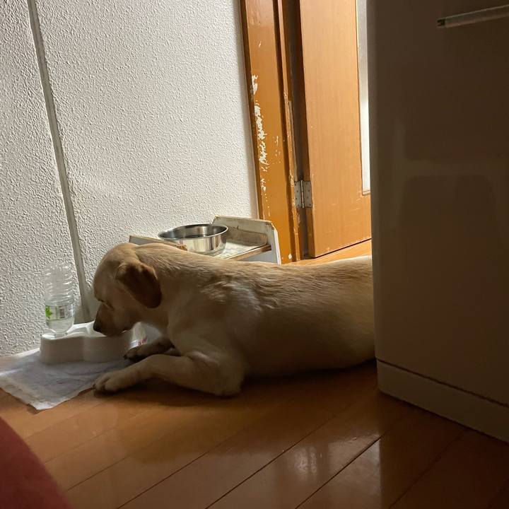 0fdba919 bcd9 4d24 af6c f3ab1699a258 1660182683569