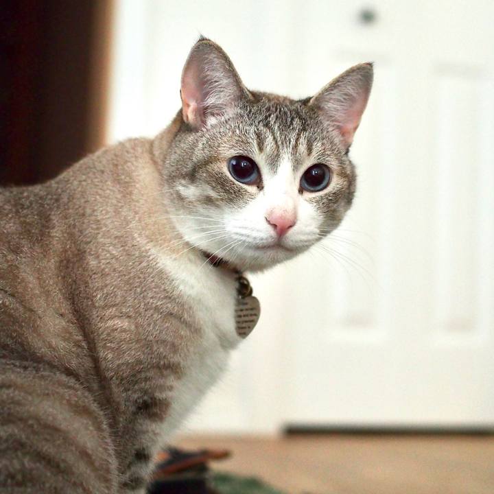 0fdbc553 6d1a 4347 aaa7 e009ce29bd88 1593826049464