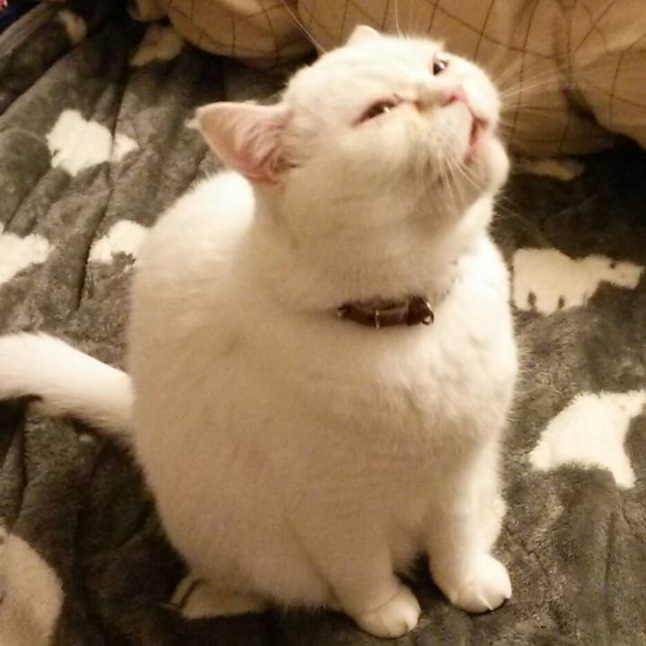 0fdc30e4 9682 44b7 9b47 425dc113543f 1515147312116