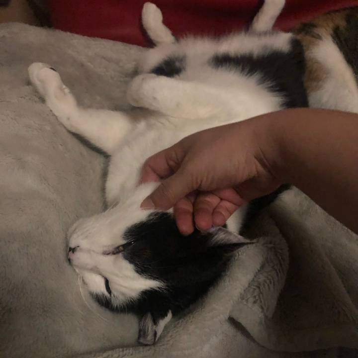 0fdc7f84 068c 4631 94dd de38fc99f197 1610203046114