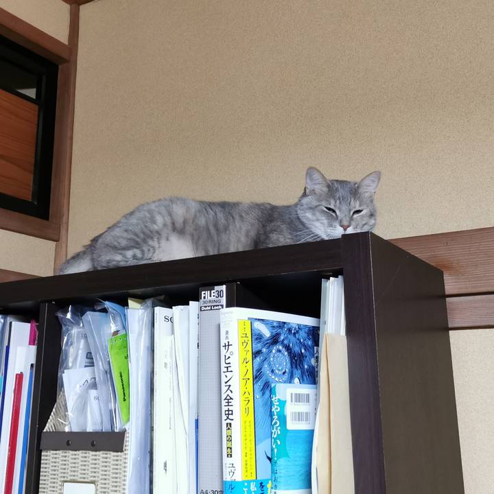 0fdc8997 0411 4534 a853 745fefaf36d7 1621088915440