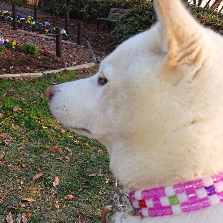 0fdc8f81 679d 4505 ab2f 286ab7702ac3 1543608060692