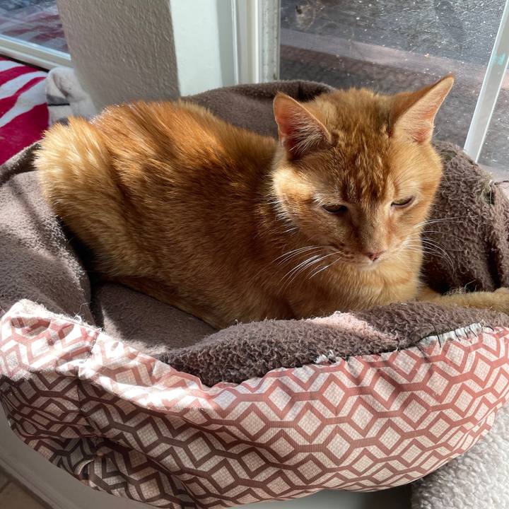 0fdc964e 603d 429e b2f2 5f1e3f905e22 1695169285465