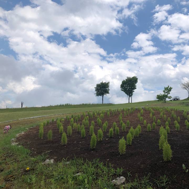 0fdca464 98ac 452b a60a ffc5ae4aaa19 1590219004451