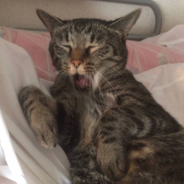 0fdcb6e2 3580 4aed a7da 7cc13903d4e1 1596879390319