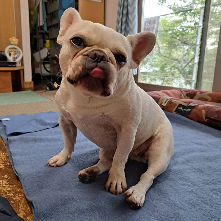 0fdcb9e1 bc65 479e 9240 6dc74a30e5ab 1689290122002