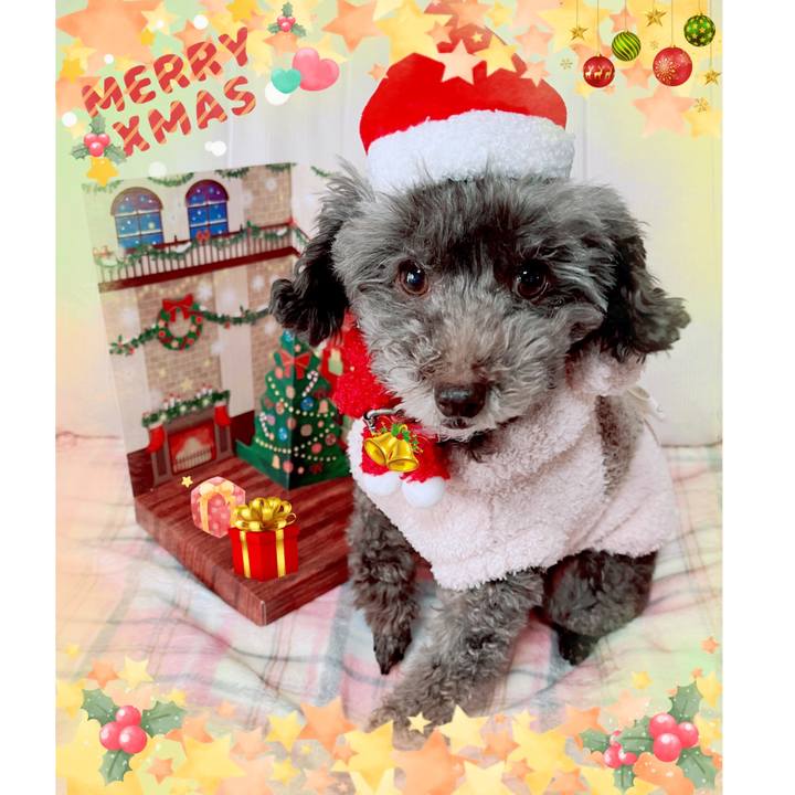 0fdcca13 7148 4d26 ac03 83a821f50cd0 1671367148208