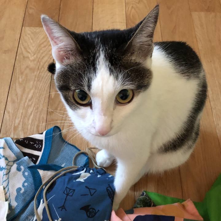 0fdcd58a d7dd 4205 bb15 9182804a79f9 1597449678198