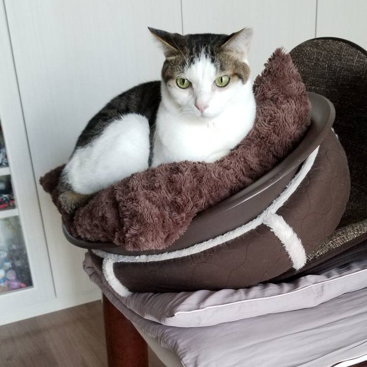 0fdd255e baed 4285 9bca 976064a978fd 1587950268039