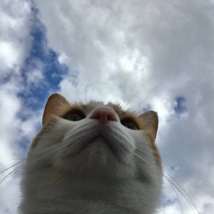 0fdd481f 393d 48be be66 35463a060baf 1510451673377