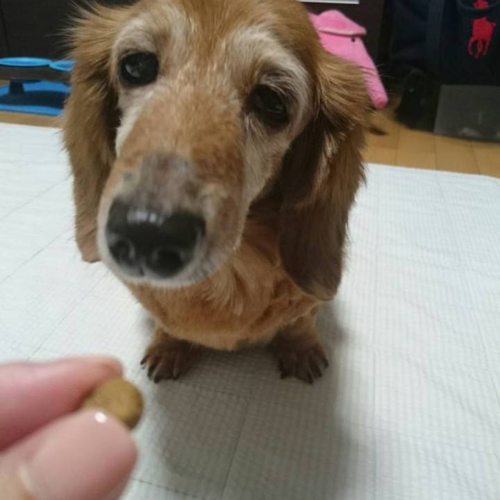 0fdd86fc c926 43f4 8eca 9d27b507d476 1753637800162