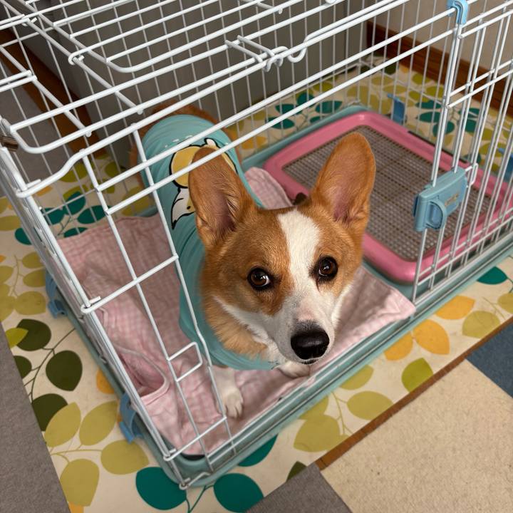 0fdd8e0a 3fe0 4a5d 9266 2496fe5604c7 1759364527771