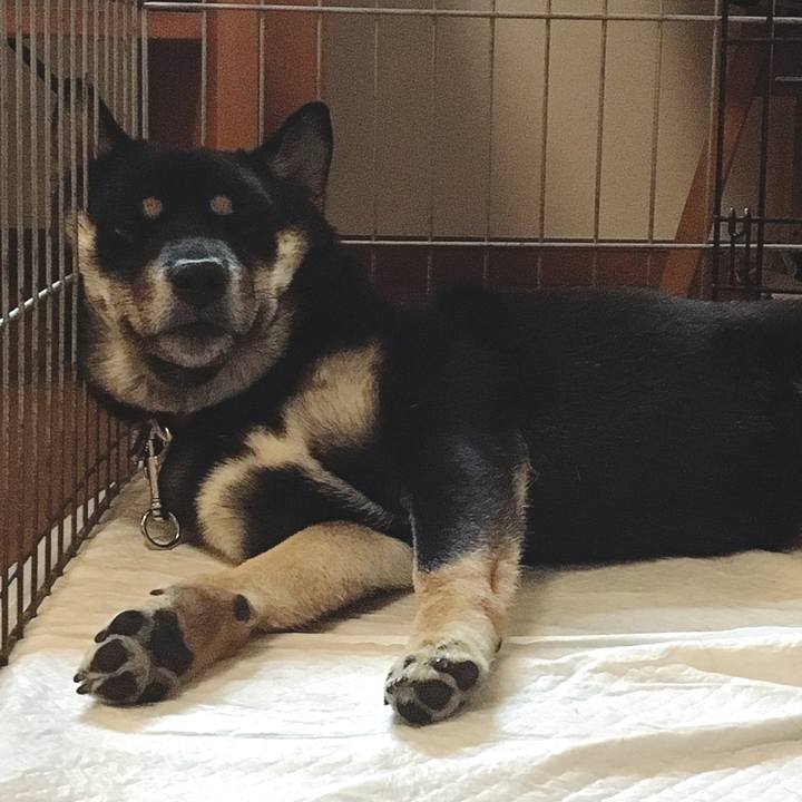 0fdd9cff 8803 4364 85e0 7b95eabd65fb 1518361012476