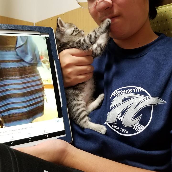 0fddb3f3 3b97 4b89 94f0 c0ab85935c03 1661182277006