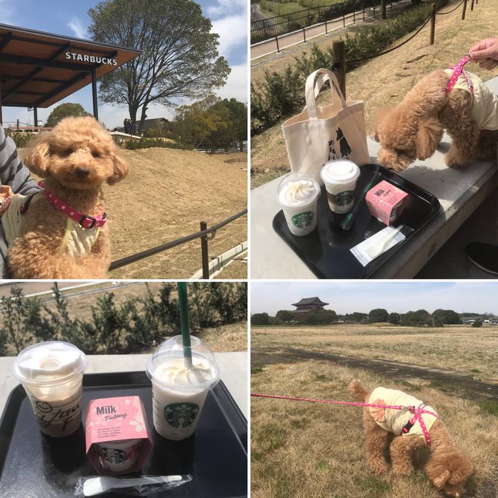 0fde0ac1 c529 4a5f bcd0 a3952f771883 1521873398989