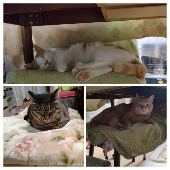 0fde5021 5566 499b a668 ad72e368d4f6 1768888698969