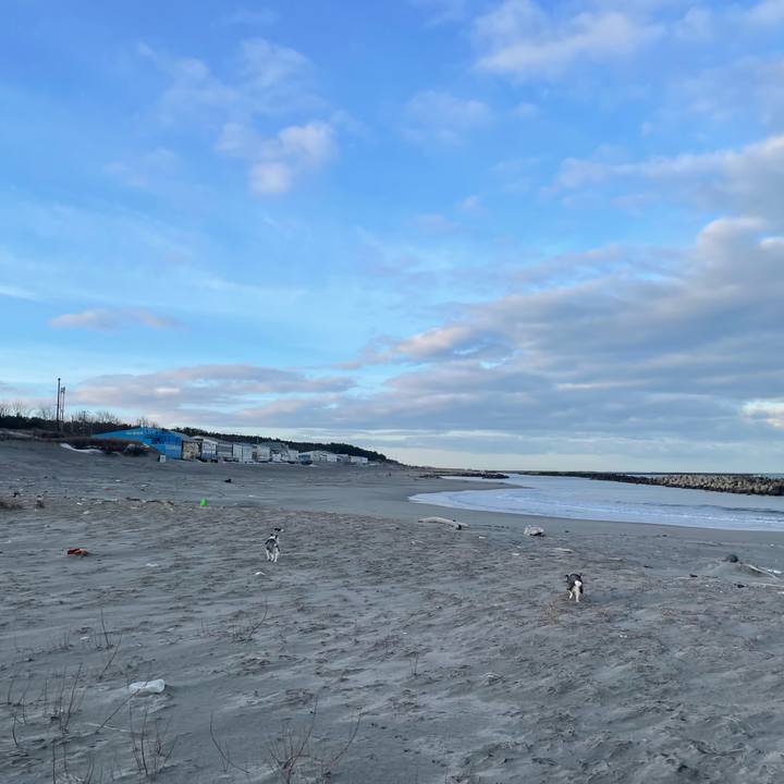 0fde99ab 2a17 49b7 8c00 9b3ce012d5d2 1770681146237